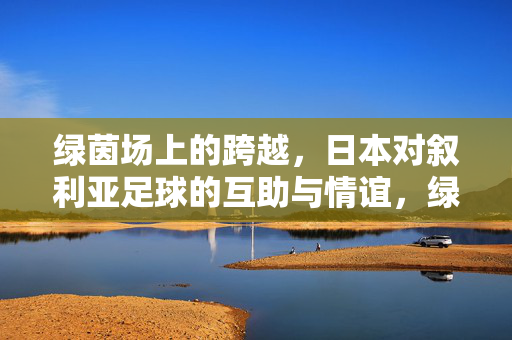 绿茵场上的跨越，日本对叙利亚足球的互助与情谊，绿茵跨越，日本叙利亚足球的互助情谊