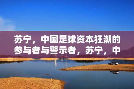 苏宁，中国足球资本狂潮的参与者与警示者，苏宁，中国足球资本狂潮的参与者与警示者