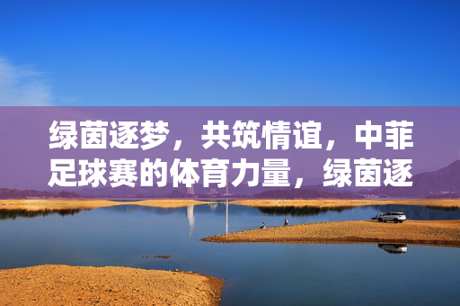 绿茵逐梦，共筑情谊，中菲足球赛的体育力量，绿茵逐梦，中菲足球赛共筑体育情谊