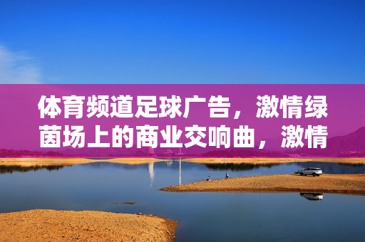 体育频道足球广告，激情绿茵场上的商业交响曲，激情绿茵，商韵交响，体育频道足球广告