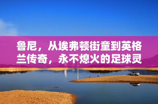 鲁尼，从埃弗顿街童到英格兰传奇，永不熄火的足球灵魂，鲁尼，从埃弗顿街童到永不熄火的英格兰传奇