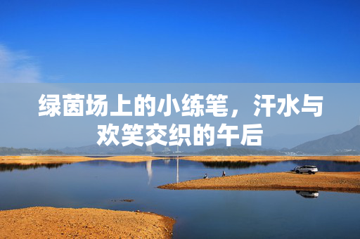 绿茵场上的小练笔，汗水与欢笑交织的午后