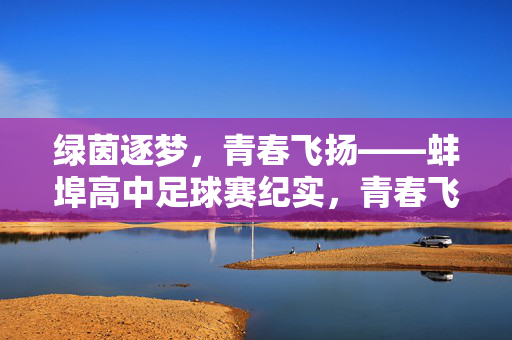 绿茵逐梦，青春飞扬——蚌埠高中足球赛纪实，青春飞扬绿茵梦——蚌埠高中足球赛纪实