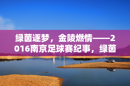 绿茵逐梦，金陵燃情——2016南京足球赛纪事，绿茵逐梦，金陵燃情——2016南京足球赛纪事