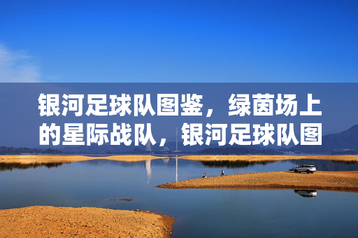 银河足球队图鉴，绿茵场上的星际战队，银河足球队图鉴，绿茵场上的星际战队