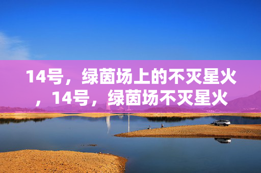 14号，绿茵场上的不灭星火，14号，绿茵场不灭星火