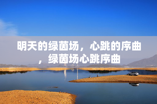 明天的绿茵场，心跳的序曲，绿茵场心跳序曲