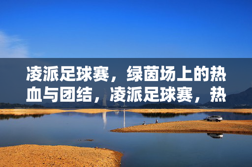 凌派足球赛，绿茵场上的热血与团结，凌派足球赛，热血团结耀绿茵