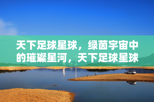 天下足球星球，绿茵宇宙中的璀璨星河，天下足球星球，绿茵宇宙璀璨星河
