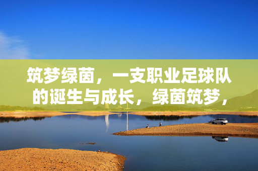 筑梦绿茵，一支职业足球队的诞生与成长，绿茵筑梦，职业足球队的诞生与成长