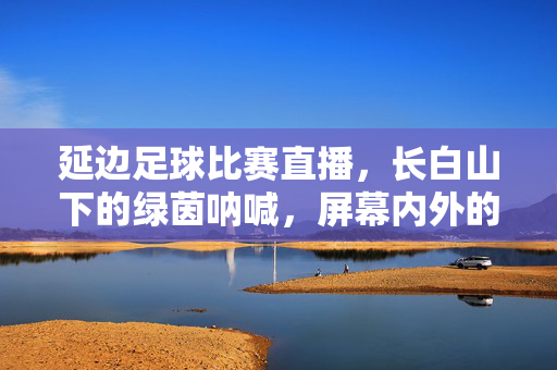 延边足球比赛直播，长白山下的绿茵呐喊，屏幕内外的热血共鸣