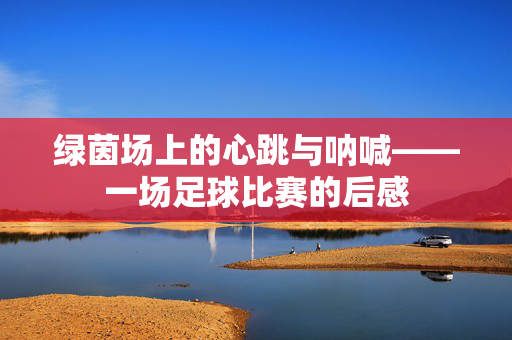 绿茵场上的心跳与呐喊——一场足球比赛的后感