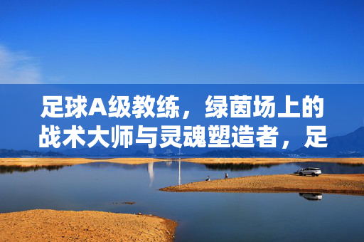 足球A级教练，绿茵场上的战术大师与灵魂塑造者，足球A级教练，绿茵场上的战术大师与灵魂塑造者