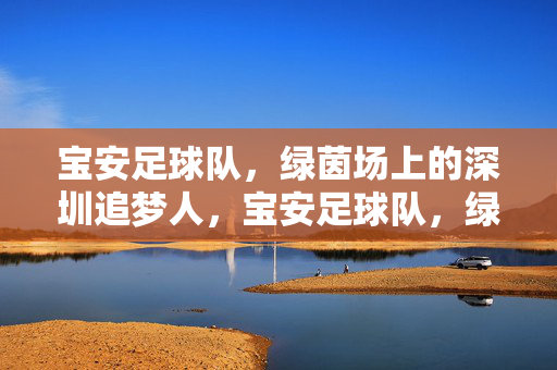 宝安足球队，绿茵场上的深圳追梦人，宝安足球队，绿茵场上的深圳追梦人