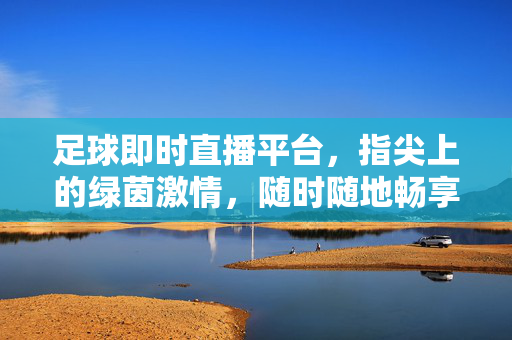 足球即时直播平台，指尖上的绿茵激情，随时随地畅享赛场，即时直播平台，指尖上的绿茵激情，随时随地畅享赛场