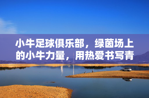 小牛足球俱乐部，绿茵场上的小牛力量，用热爱书写青春篇章，小牛足球俱乐部，绿茵力量，青春热爱