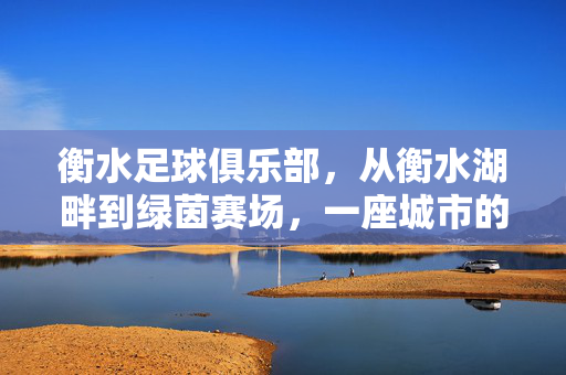 衡水足球俱乐部，从衡水湖畔到绿茵赛场，一座城市的足球梦想起航，从衡水湖畔到绿茵赛场，一座城市的足球梦想起航