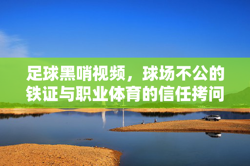 足球黑哨视频,球场不公的铁证与职业体育的信任拷问,足球黑哨视频,球场不公铁证拷问职业体育信任