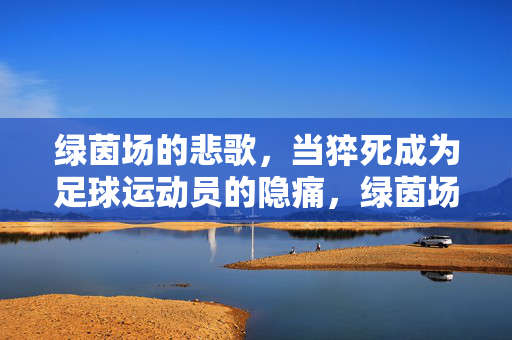 绿茵场的悲歌，当猝死成为足球运动员的隐痛，绿茵场悲歌，足球运动员猝死的隐痛