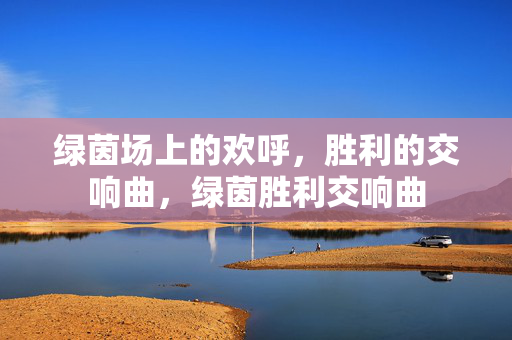 绿茵场上的欢呼，胜利的交响曲，绿茵胜利交响曲