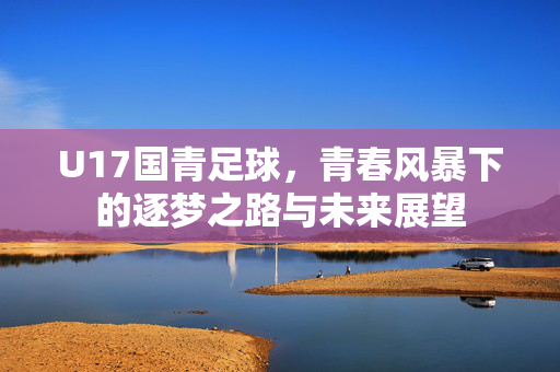 U17国青足球，青春风暴下的逐梦之路与未来展望