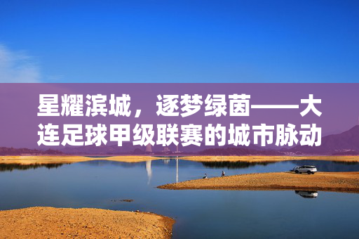 星耀滨城，逐梦绿茵——大连足球甲级联赛的城市脉动，滨城脉动，逐梦绿茵