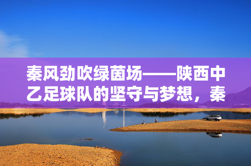 秦风劲吹绿茵场——陕西中乙足球队的坚守与梦想，秦风劲吹绿茵场，陕西中乙足球队的坚守与梦想