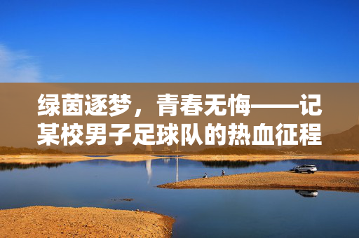 绿茵逐梦，青春无悔——记某校男子足球队的热血征程，绿茵逐梦，青春无悔——男子足球队热血征程