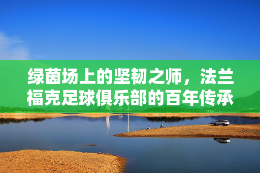 绿茵场上的坚韧之师，法兰福克足球俱乐部的百年传承与热血征途，法兰福克足球俱乐部，百年传承的坚韧之师与热血征途