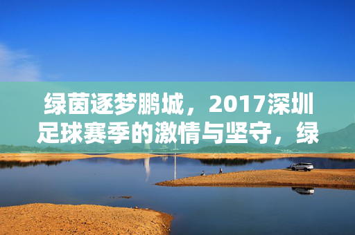 绿茵逐梦鹏城，2017深圳足球赛季的激情与坚守，绿茵逐梦鹏城，2017深圳足球赛季的激情坚守