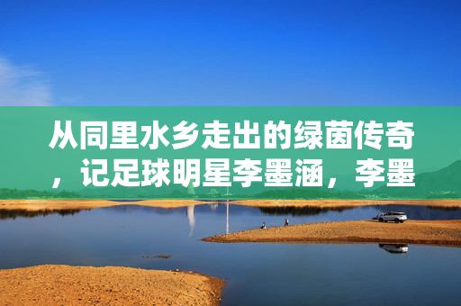 从同里水乡走出的绿茵传奇，记足球明星李墨涵，李墨涵，从同里水乡走出的绿茵传奇