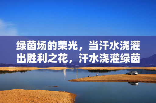绿茵场的荣光，当汗水浇灌出胜利之花，汗水浇灌绿茵荣光