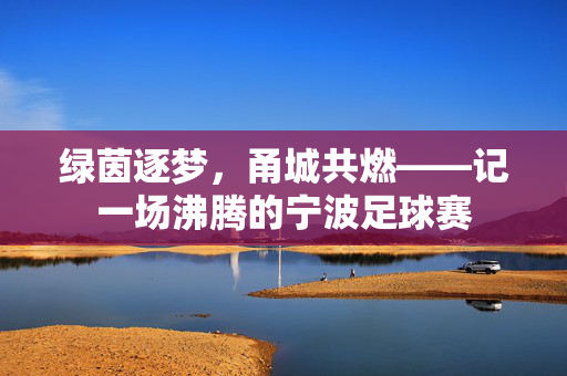绿茵逐梦，甬城共燃——记一场沸腾的宁波足球赛