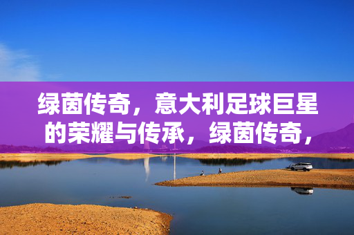绿茵传奇，意大利足球巨星的荣耀与传承，绿茵传奇，意大利巨星的荣耀传承
