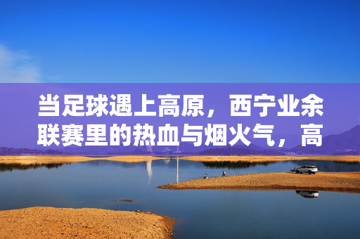 当足球遇上高原,西宁业余联赛里的热血与烟火气,高原足球西宁燃,业余联赛里的热血烟火气
