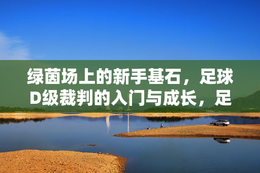 绿茵场上的新手基石，足球D级裁判的入门与成长，足球D级裁判，绿茵场基石的入门成长