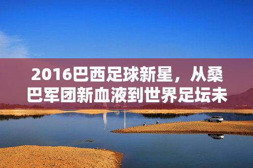 2016巴西足球新星，从桑巴军团新血液到世界足坛未来之星，2016巴西新星，从桑巴新血液到世界未来之星