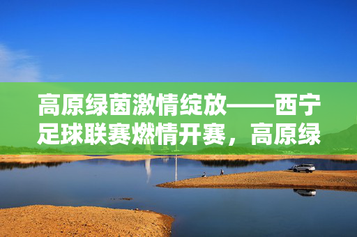高原绿茵激情绽放——西宁足球联赛燃情开赛,高原绿茵燃情绽放——西宁足球联赛开赛