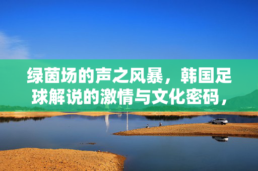 绿茵场的声之风暴，韩国足球解说的激情与文化密码，声之风暴，韩国足球解说的激情与文化密码