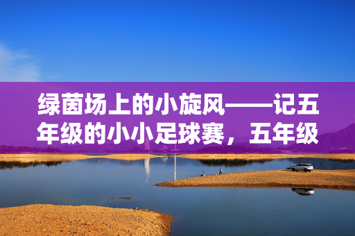 绿茵场上的小旋风——记五年级的小小足球赛，五年级绿茵小旋风，小小足球赛
