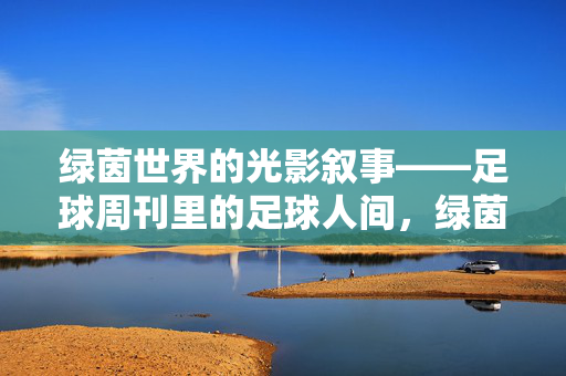 绿茵世界的光影叙事——足球周刊里的足球人间，绿茵光影叙事，足球周刊里的足球人间