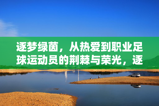 逐梦绿茵，从热爱到职业足球运动员的荆棘与荣光，逐梦绿茵，从热爱到职业的荆棘与荣光
