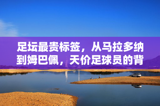 足坛最贵标签,从马拉多纳到姆巴佩,天价足球员的背后是价值还是泡沫?马拉多纳到姆巴佩,足坛最贵标签下的价值与泡沫之辩