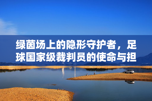 绿茵场上的隐形守护者，足球国家级裁判员的使命与担当，绿茵场上的隐形守护者，足球国家级裁判员的使命与担当