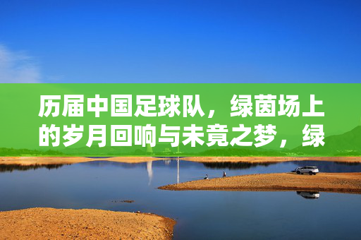 历届中国足球队，绿茵场上的岁月回响与未竟之梦，绿茵岁月回响，中国足球队的未竟之梦