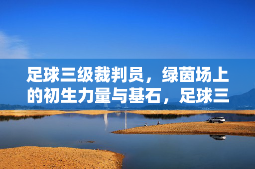 足球三级裁判员，绿茵场上的初生力量与基石，足球三级裁判员，绿茵场初生力量与基石