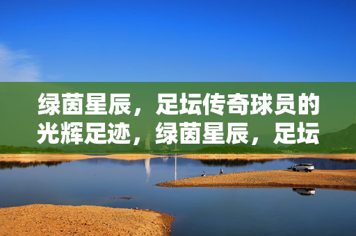 绿茵星辰，足坛传奇球员的光辉足迹，绿茵星辰，足坛传奇的永恒足迹