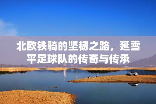 北欧铁骑的坚韧之路，延雪平足球队的传奇与传承