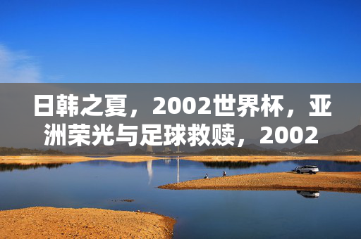日韩之夏，2002世界杯，亚洲荣光与足球救赎，2002世界杯日韩之夏，亚洲荣光与足球救赎