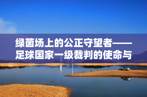 绿茵场上的公正守望者——足球国家一级裁判的使命与担当